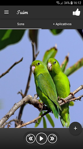 Run android online APK Tuim from MyAndroid or emulate Tuim using MyAndroid