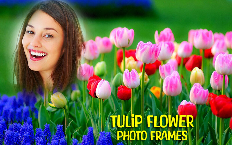 Run android online APK Tulip Flower Photo Frames from MyAndroid or emulate Tulip Flower Photo Frames using MyAndroid Run android online APK Tulip Flower Photo Frames from MyAndroid or emulate Tulip Flower Photo Frames using MyAndroid