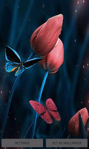 Run android online APK Tulip Flowers Butterfly LWP from MyAndroid or emulate Tulip Flowers Butterfly LWP using MyAndroid