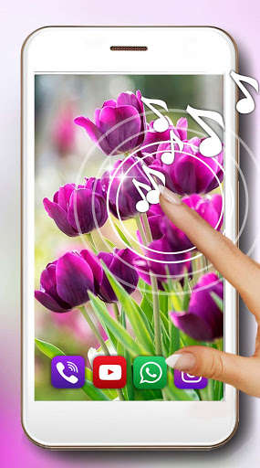 Run android online APK Tulips Bouquet HD from MyAndroid or emulate Tulips Bouquet HD using MyAndroid Run android online APK Tulips Bouquet HD from MyAndroid or emulate Tulips Bouquet HD using MyAndroid