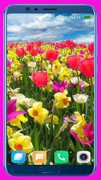 Run android online APK Tulips Flower HD Wallpaper from MyAndroid or emulate Tulips Flower HD Wallpaper using MyAndroid