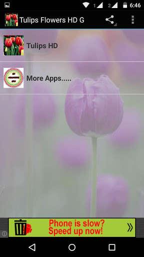 Emulate Android APK Tulips Flowers HD Wallpapers Emulate Android APK Tulips Flowers HD Wallpapers