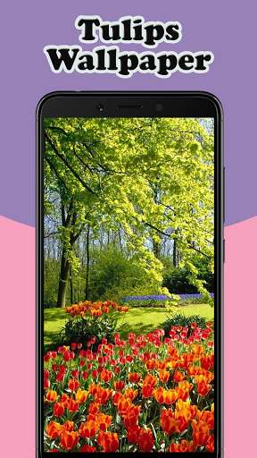 Emulate Android APK Tulips Flower Wallpaper Emulate Android APK Tulips Flower Wallpaper