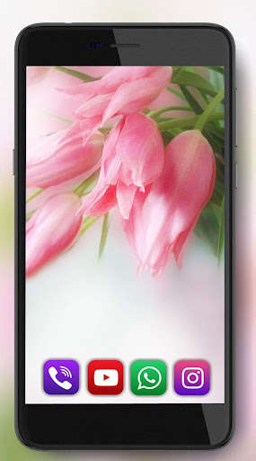 Run android online APK Tulips Fresh Live Wallpaper from MyAndroid or emulate Tulips Fresh Live Wallpaper using MyAndroid Run android online APK Tulips Fresh Live Wallpaper from MyAndroid or emulate Tulips Fresh Live Wallpaper using MyAndroid