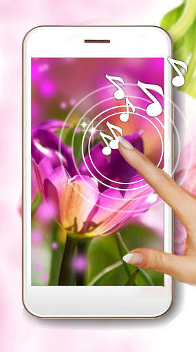 Run android online APK Tulips Pink Flowers from MyAndroid or emulate Tulips Pink Flowers using MyAndroid