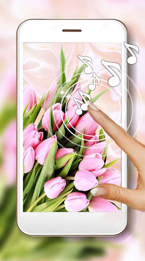 Run android online APK Tulips Spring from MyAndroid or emulate Tulips Spring using MyAndroid Run android online APK Tulips Spring from MyAndroid or emulate Tulips Spring using MyAndroid