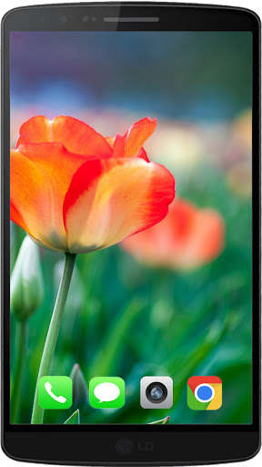 Run android online APK Tulips The Best HD Walpaper 2021 from MyAndroid or emulate Tulips The Best HD Walpaper 2021 using MyAndroid