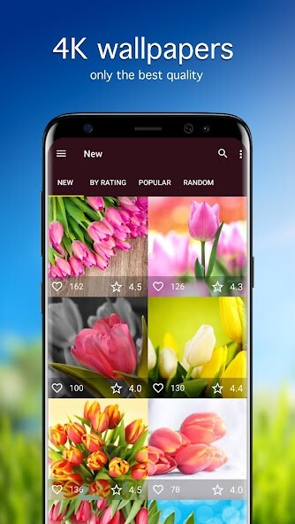 Run android online APK Tulip Wallpapers PRO from MyAndroid or emulate Tulip Wallpapers PRO using MyAndroid Run android online APK Tulip Wallpapers PRO from MyAndroid or emulate Tulip Wallpapers PRO using MyAndroid
