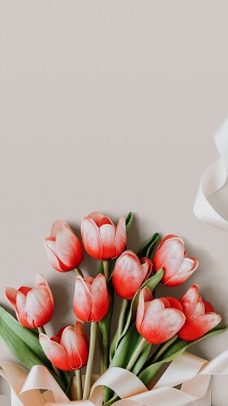 Run android online APK Tulip Wallpapers from MyAndroid or emulate Tulip Wallpapers using MyAndroid Run android online APK Tulip Wallpapers from MyAndroid or emulate Tulip Wallpapers using MyAndroid