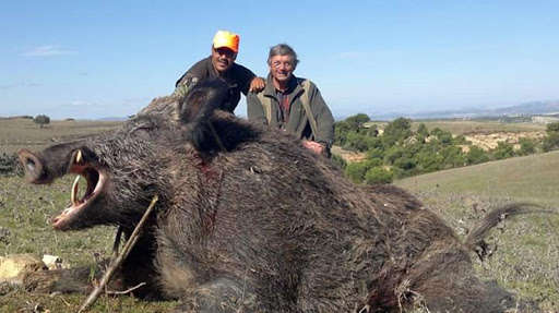 Run android online APK TUNISIA CACCIA TRAVEL from MyAndroid or emulate TUNISIA CACCIA TRAVEL using MyAndroid Run android online APK TUNISIA CACCIA TRAVEL from MyAndroid or emulate TUNISIA CACCIA TRAVEL using MyAndroid