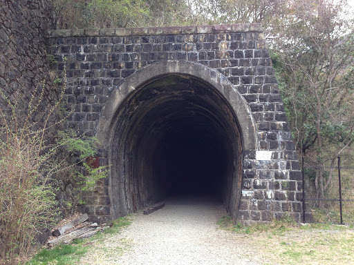 Run android online APK Tunnel Photo Frames from MyAndroid or emulate Tunnel Photo Frames using MyAndroid Run android online APK Tunnel Photo Frames from MyAndroid or emulate Tunnel Photo Frames using MyAndroid