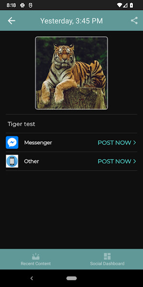 Run android online APK TuppSocial Companion from MyAndroid or emulate TuppSocial Companion using MyAndroid