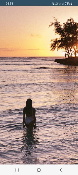 Run android online APK Turtle Bay Resort from MyAndroid or emulate Turtle Bay Resort using MyAndroid Run android online APK Turtle Bay Resort from MyAndroid or emulate Turtle Bay Resort using MyAndroid