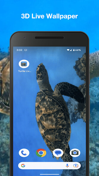 Run android online APK Turtle Live Wallpaper from MyAndroid or emulate Turtle Live Wallpaper using MyAndroid Run android online APK Turtle Live Wallpaper from MyAndroid or emulate Turtle Live Wallpaper using MyAndroid