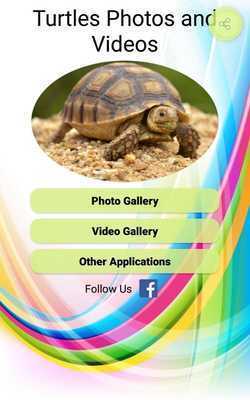 Emulate Android APK Turtles Photos and Videos Emulate Android APK Turtles Photos and Videos