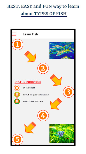 Run android online APK Types Of Fish from MyAndroid or emulate Types Of Fish using MyAndroid Run android online APK Types Of Fish from MyAndroid or emulate Types Of Fish using MyAndroid