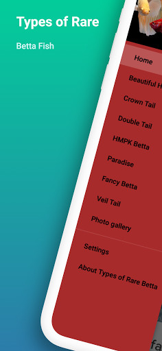 Run android online APK Types of Rare Betta Fish from MyAndroid or emulate Types of Rare Betta Fish using MyAndroid Run android online APK Types of Rare Betta Fish from MyAndroid or emulate Types of Rare Betta Fish using MyAndroid