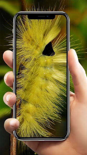Run android online APK Ulat bulu Wallpaper from MyAndroid or emulate Ulat bulu Wallpaper using MyAndroid Run android online APK Ulat bulu Wallpaper from MyAndroid or emulate Ulat bulu Wallpaper using MyAndroid