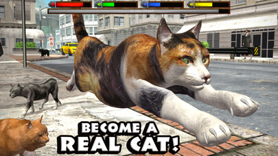 Emulate iPhone app Ultimate Cat Simulator using MyAndroid