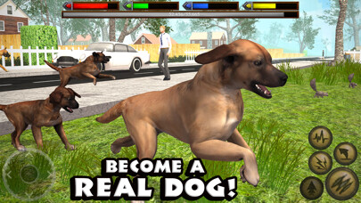 Emulate iPhone app Ultimate Dog Simulator using MyAndroid Emulate iPhone app Ultimate Dog Simulator using MyAndroid