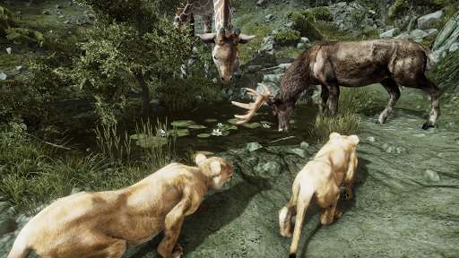 Run android online APK Ultimate Lioness Simulator from MyAndroid or emulate Ultimate Lioness Simulator using MyAndroid Run android online APK Ultimate Lioness Simulator from MyAndroid or emulate Ultimate Lioness Simulator using MyAndroid