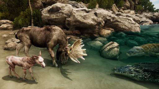 Run android online APK Ultimate Moose Simulator from MyAndroid or emulate Ultimate Moose Simulator using MyAndroid Run android online APK Ultimate Moose Simulator from MyAndroid or emulate Ultimate Moose Simulator using MyAndroid