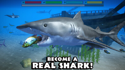 Emulate iPhone app Ultimate Shark Simulator using MyAndroid Emulate iPhone app Ultimate Shark Simulator using MyAndroid
