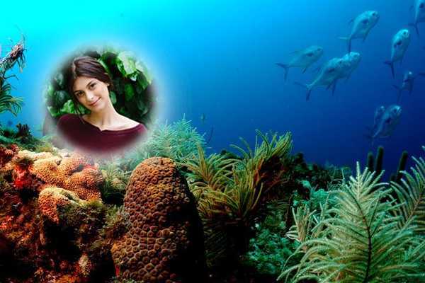 Emulate Android APK Underwater Frames Photo Editor Emulate Android APK Underwater Frames Photo Editor