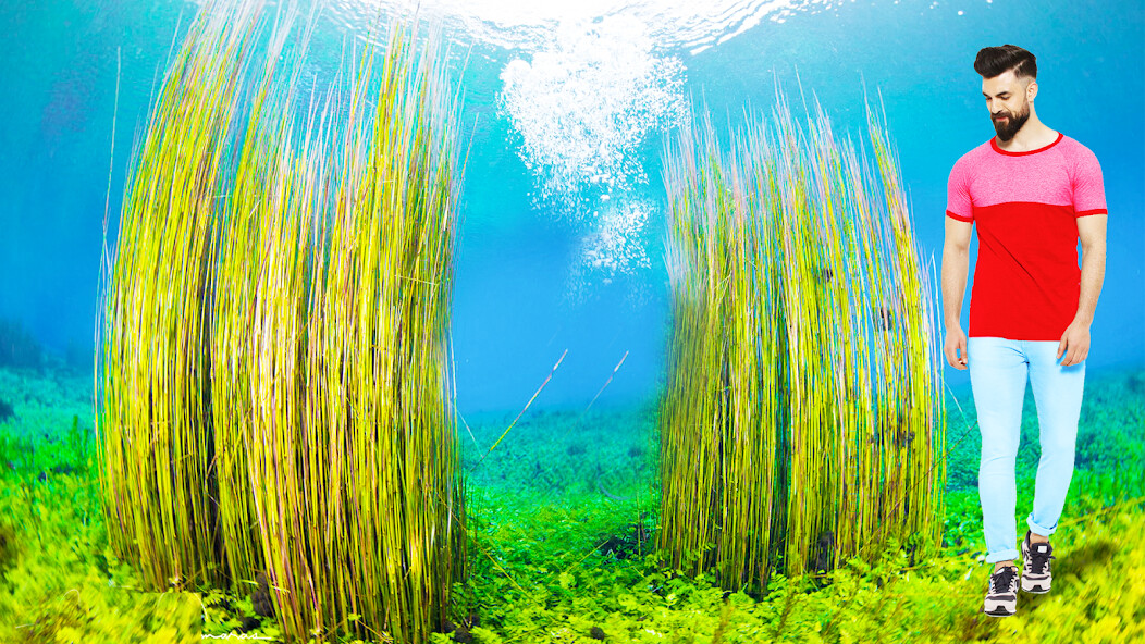 Run android online APK Underwater Garden Photo Editor from MyAndroid or emulate Underwater Garden Photo Editor using MyAndroid Run android online APK Underwater Garden Photo Editor from MyAndroid or emulate Underwater Garden Photo Editor using MyAndroid