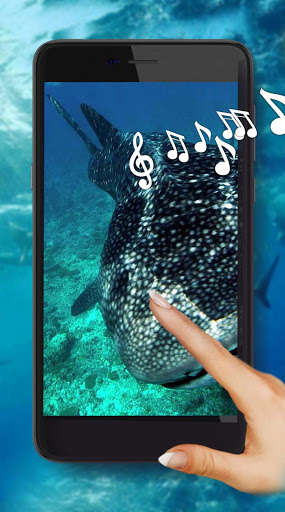 Run android online APK Underwater Life Live Wallpaper from MyAndroid or emulate Underwater Life Live Wallpaper using MyAndroid