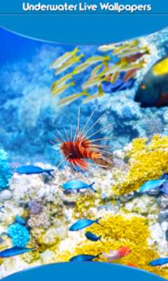 Emulate Android APK Underwater Live Wallpapers Emulate Android APK Underwater Live Wallpapers