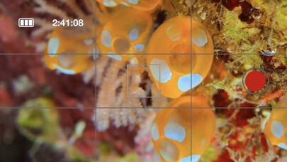 Emulate iPhone app Underwater Mate for A01 using MyAndroid Emulate iPhone app Underwater Mate for A01 using MyAndroid