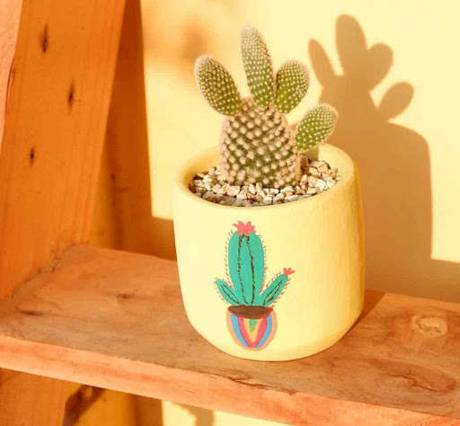 Run android online APK Unique plant pots from MyAndroid or emulate Unique plant pots using MyAndroid