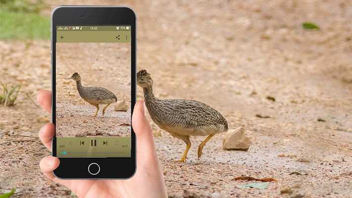 Emulate Android APK Upin Kart lpin game Emulate Android APK Upin Kart lpin game