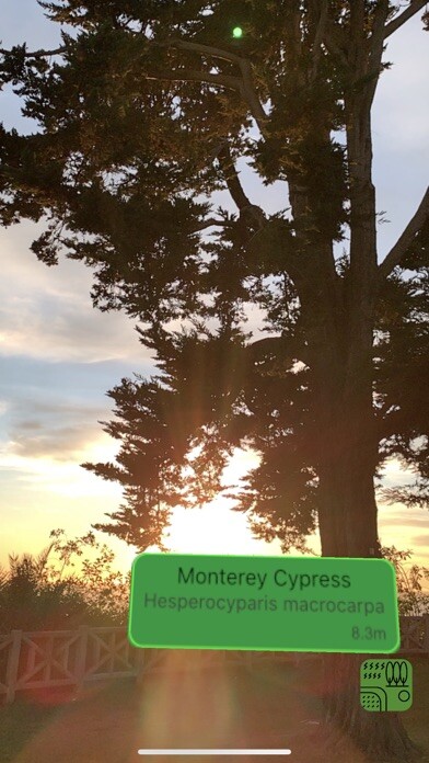 Emulate iPhone app Urban Trees using MyAndroid Emulate iPhone app Urban Trees using MyAndroid