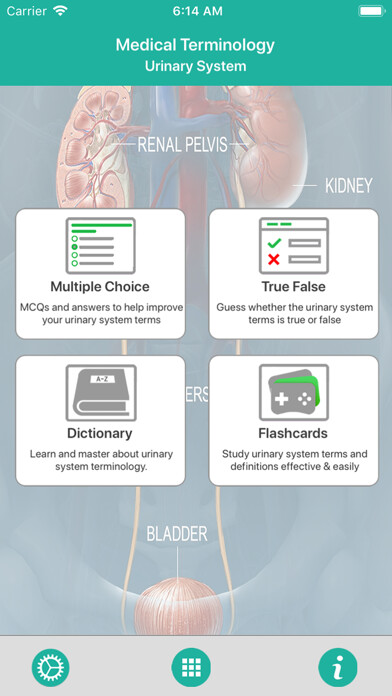 Emulate iPhone app Urinary System Medical Terms using MyAndroid Emulate iPhone app Urinary System Medical Terms using MyAndroid