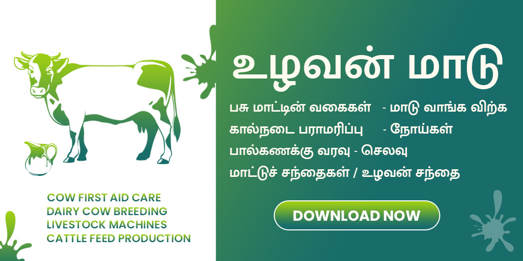 Run android online APK Uzhavan Maadu - ????? ???? from MyAndroid or emulate Uzhavan Maadu - ????? ???? using MyAndroid Run android online APK Uzhavan Maadu - ????? ???? from MyAndroid or emulate Uzhavan Maadu - ????? ???? using MyAndroid