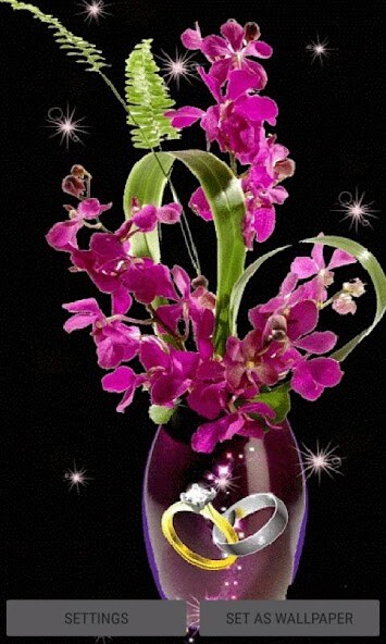 Run android online APK Valentine Flowers Pot LWP from MyAndroid or emulate Valentine Flowers Pot LWP using MyAndroid Run android online APK Valentine Flowers Pot LWP from MyAndroid or emulate Valentine Flowers Pot LWP using MyAndroid