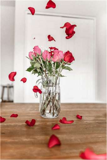 Run android online APK Valentine Quotes For Lover from MyAndroid or emulate Valentine Quotes For Lover using MyAndroid