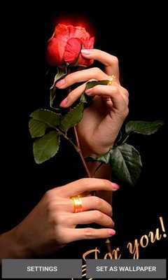 Emulate Android APK Valentine Red Rose LWP