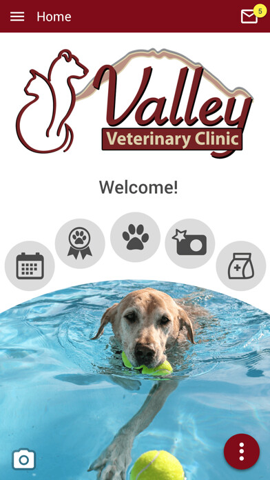 Emulate iPhone app Valley Vet Red Bluff using MyAndroid Emulate iPhone app Valley Vet Red Bluff using MyAndroid