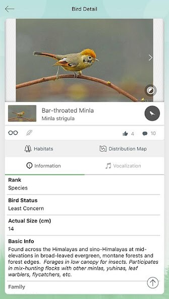 Run android online APK Vannya-Your Digital Bird Guide from MyAndroid or emulate Vannya-Your Digital Bird Guide using MyAndroid