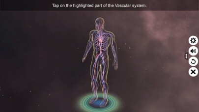 Emulate iPhone app Vascular system using MyAndroid Emulate iPhone app Vascular system using MyAndroid