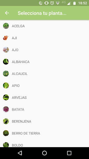 Run android online APK V de Verde from MyAndroid or emulate V de Verde using MyAndroid