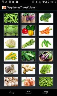 Emulate Android APK Vegetable Names (3 Lines) Emulate Android APK Vegetable Names (3 Lines)