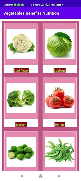 Run android online APK Vegetables Benefits Nutrition from MyAndroid or emulate Vegetables Benefits Nutrition using MyAndroid Run android online APK Vegetables Benefits Nutrition from MyAndroid or emulate Vegetables Benefits Nutrition using MyAndroid