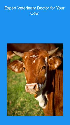 Run android online APK Vet24x7: Animal doctor cow, dog, cat from MyAndroid or emulate Vet24x7: Animal doctor cow, dog, cat using MyAndroid Run android online APK Vet24x7: Animal doctor cow, dog, cat from MyAndroid or emulate Vet24x7: Animal doctor cow, dog, cat using MyAndroid