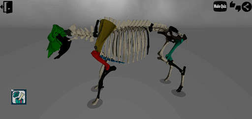 Run android online APK Vet-3DAnatomy(Bones)-Cow from MyAndroid or emulate Vet-3DAnatomy(Bones)-Cow using MyAndroid