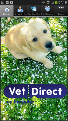 Emulate Android APK Vet Direct Pet Care Newcastle Emulate Android APK Vet Direct Pet Care Newcastle