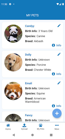 Run android online APK VetNOW from MyAndroid or emulate VetNOW using MyAndroid